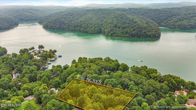 Bucks And Doe Ln, Lafollette, TN 37766