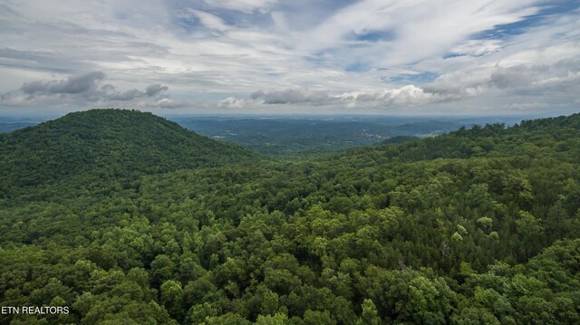 Prettiest Sunset Way, Seymour, TN 37865