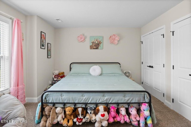 226 Hilldale Ln, Lafollette, TN 37766 - bedroom featuring carpet flooring, multiple windows, and multiple closets