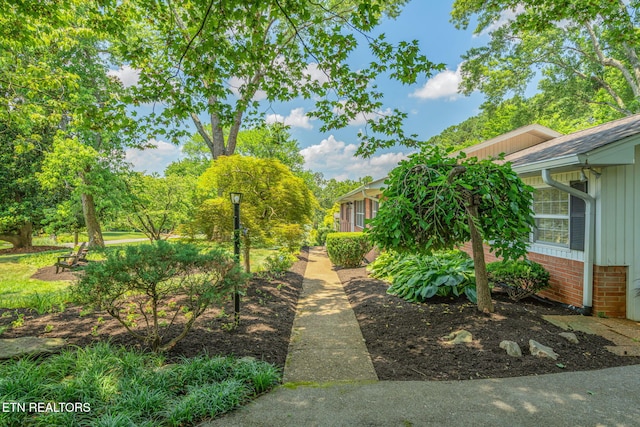 4105 Maloney Rd, Knoxville, TN 37920 - photo 5