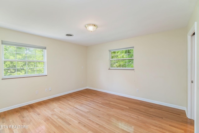 4105 Maloney Rd, Knoxville, TN 37920 - photo 32