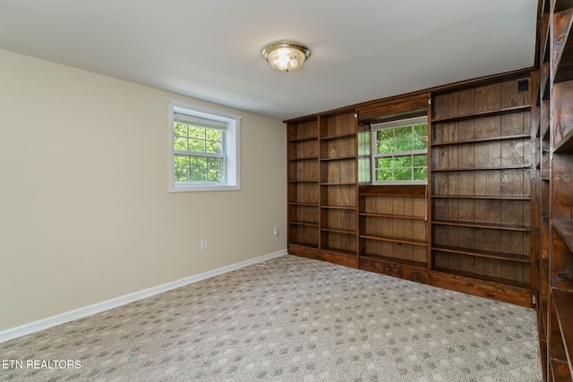 4105 Maloney Rd, Knoxville, TN 37920 - photo 41