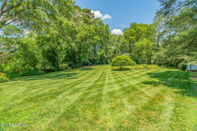 4105 Maloney Rd, Knoxville, TN 37920 - photo 56