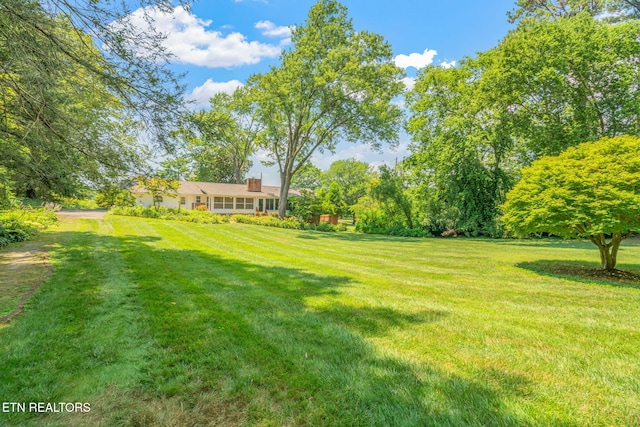 4105 Maloney Rd, Knoxville, TN 37920 - photo 58