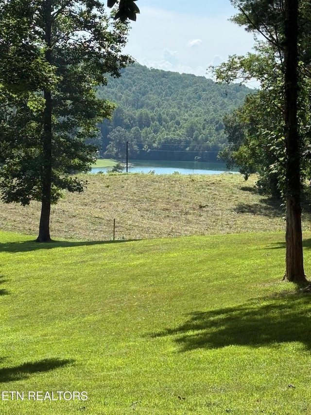 206 Old Leadmine Bend Rd, Sharps Chapel, TN 37866 - photo 9