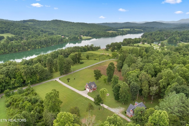 206 Old Leadmine Bend Rd, Sharps Chapel, TN 37866 - photo 34