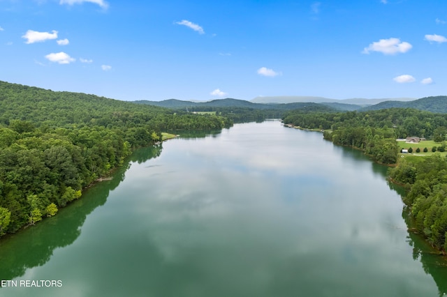 206 Old Leadmine Bend Rd, Sharps Chapel, TN 37866 - photo 38