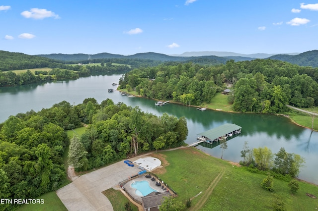 206 Old Leadmine Bend Rd, Sharps Chapel, TN 37866 - photo 33