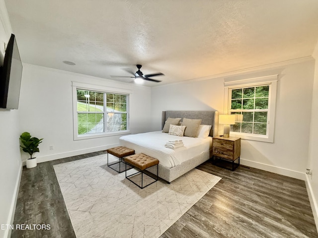 3402 Lillie Blvd, Sevierville, TN 37876 - bedroom with multiple windows, dark wood-style floors, ornamental molding, a textured ceiling, and ceiling fan