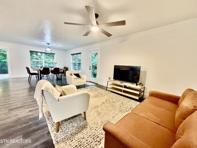 3402 Lillie Blvd, Sevierville, TN 37876 - living room featuring wood finished floors, a ceiling fan, and ornamental molding