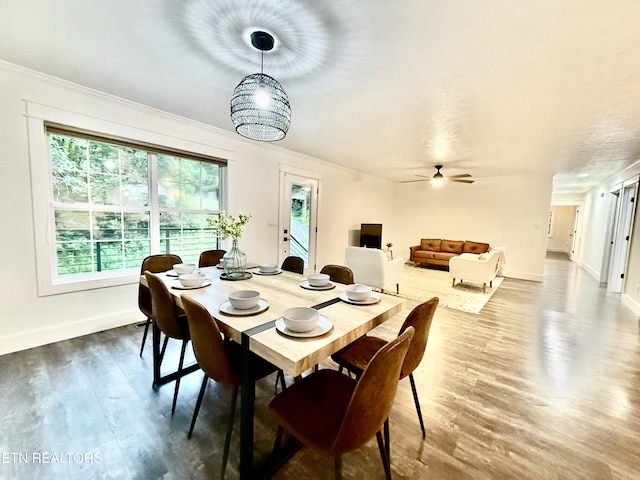 3402 Lillie Blvd, Sevierville, TN 37876 - dining area with wood finished floors, a ceiling fan, and crown molding