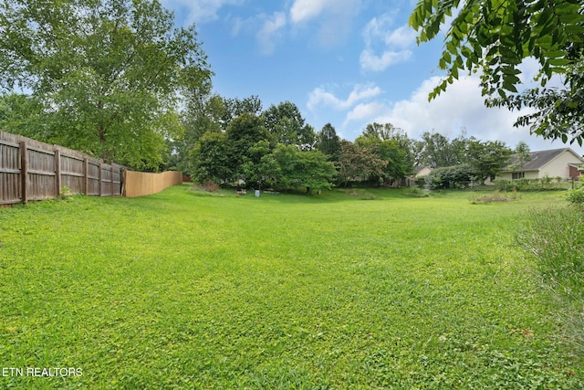 1415 Ebenezer Rd, Knoxville, TN 37922 - view of yard