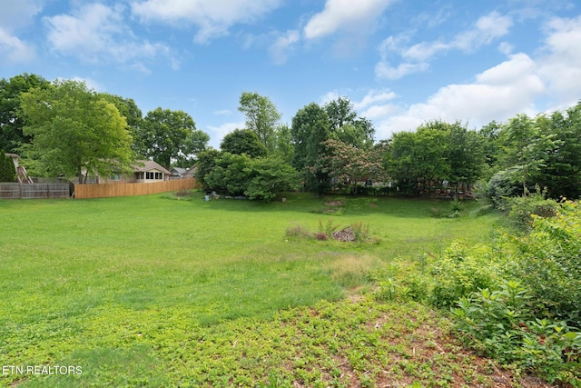 1415 Ebenezer Rd, Knoxville, TN 37922 - view of yard
