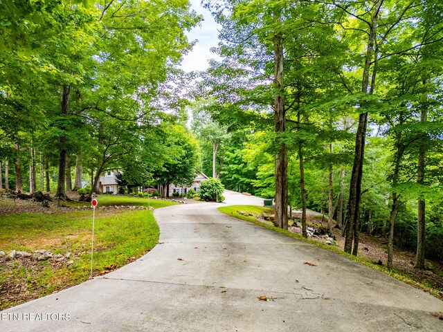 200 Stony Rock Ln, Jacksboro, TN 37757 - photo 5