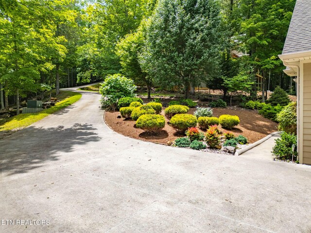 200 Stony Rock Ln, Jacksboro, TN 37757 - photo 6