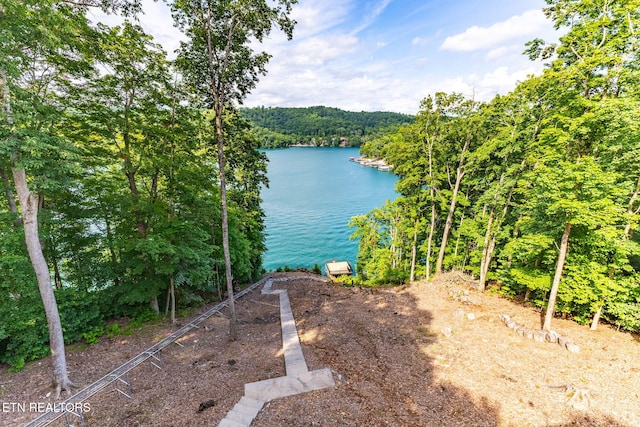 200 Stony Rock Ln, Jacksboro, TN 37757 - water view featuring a forest
