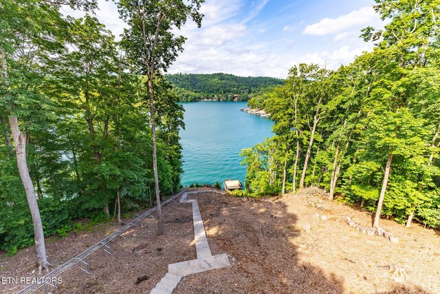 200 Stony Rock Ln, Jacksboro, TN 37757 - photo 49