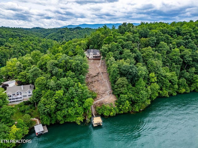 200 Stony Rock Ln, Jacksboro, TN 37757 - aerial view of a nearby body of water and a heavily wooded area