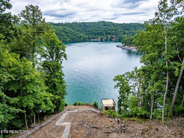 200 Stony Rock Ln, Jacksboro, TN 37757 - water view with a floating dock