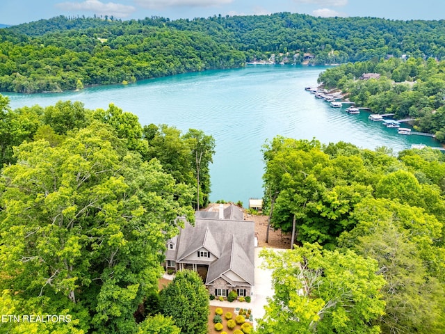 200 Stony Rock Ln, Jacksboro, TN 37757 - view from above of property with a forest and a nearby body of water