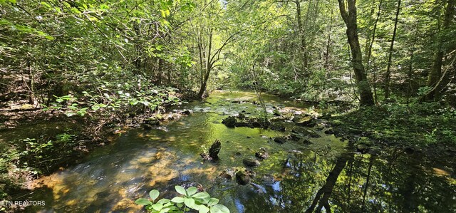 LOT18 Sparta Dr, Crossville, TN 38555 - photo 21