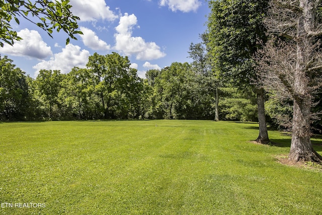 LOT18 Sparta Dr, Crossville, TN 38555 - photo 33