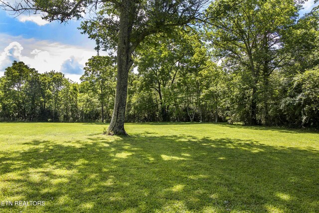 LOT18 Sparta Dr, Crossville, TN 38555 - photo 38