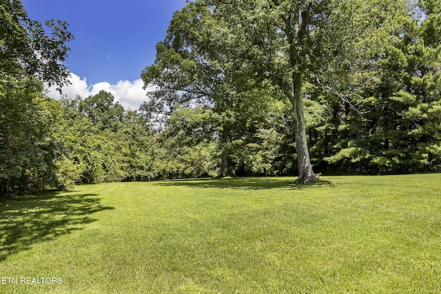 LOT18 Sparta Dr, Crossville, TN 38555 - photo 40