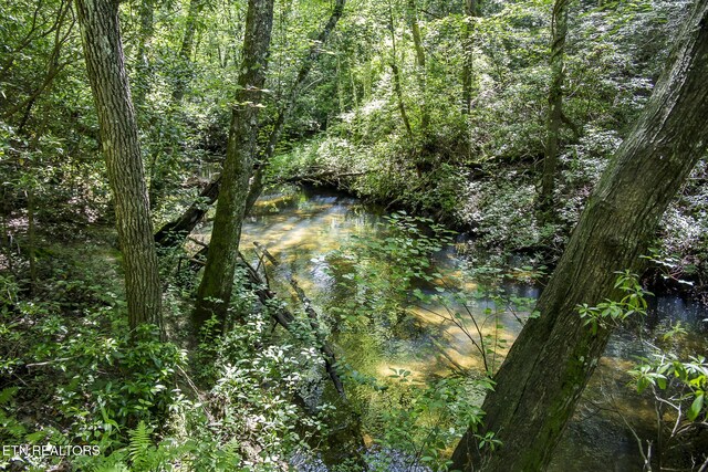 LOT18 Sparta Dr, Crossville, TN 38555 - photo 31