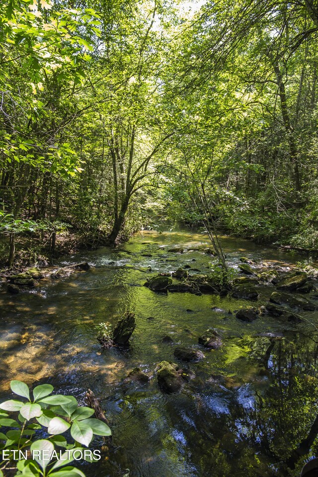 LOT18 Sparta Dr, Crossville, TN 38555 - photo 30
