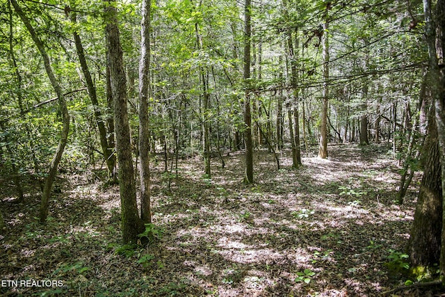 LOT18 Sparta Dr, Crossville, TN 38555 - photo 18