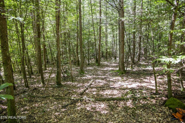 LOT18 Sparta Dr, Crossville, TN 38555 - photo 19