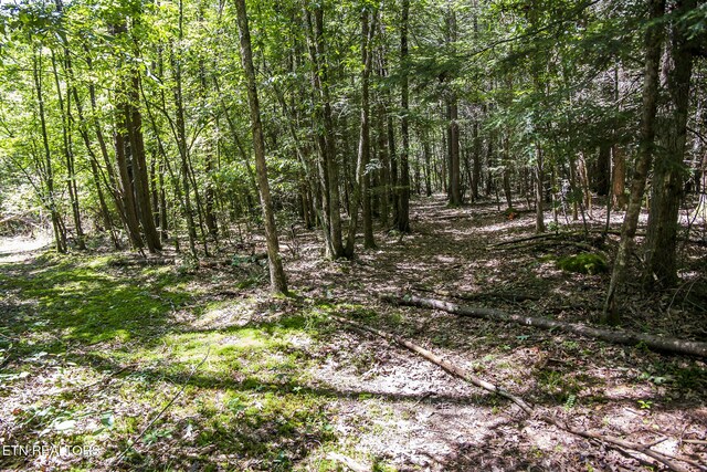 LOT18 Sparta Dr, Crossville, TN 38555 - photo 20
