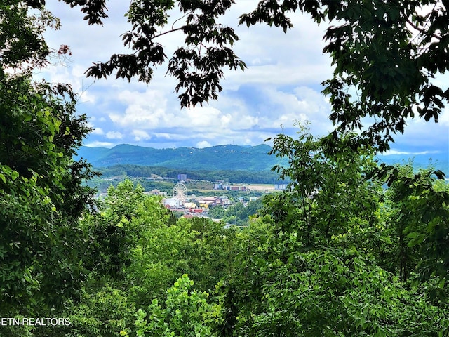 813 Lloyd Huskey Rd, Pigeon Forge, TN 37863 - photo 4