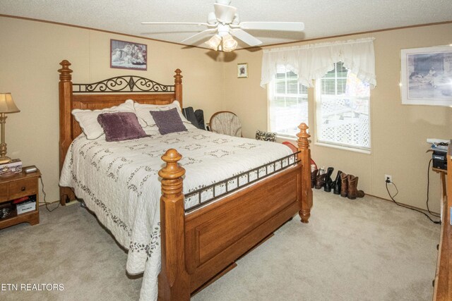 1424 Hickey Rd, Knoxville, TN 37932 - photo 16