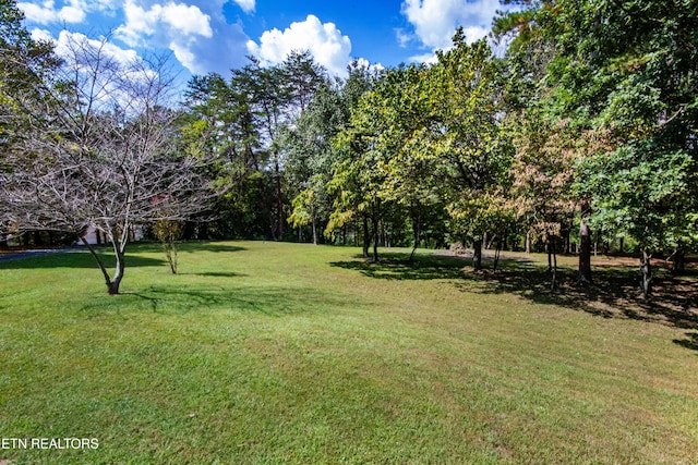 1424 Hickey Rd, Knoxville, TN 37932 - photo 18