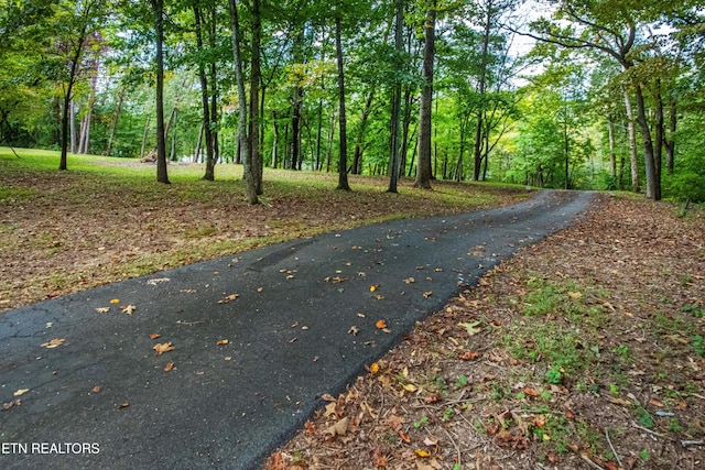 1424 Hickey Rd, Knoxville, TN 37932 - photo 23