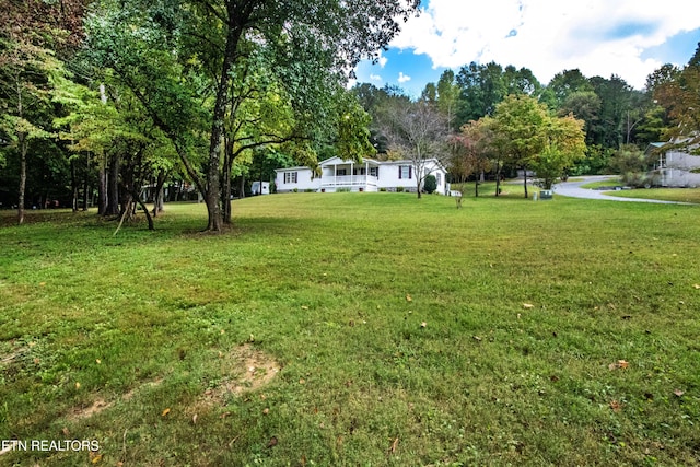1424 Hickey Rd, Knoxville, TN 37932 - photo 25