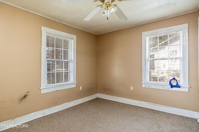 204 Hillview Ave, Knoxville, TN 37914 - unfurnished room with carpet, ceiling fan, and a textured ceiling