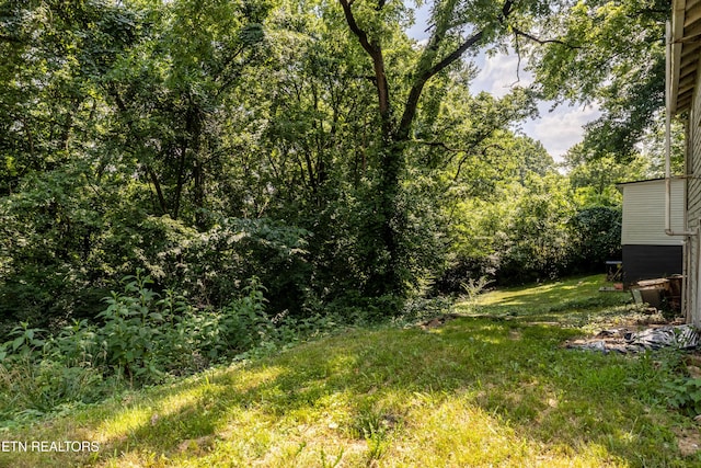 204 Hillview Ave, Knoxville, TN 37914 - view of yard with a view of trees