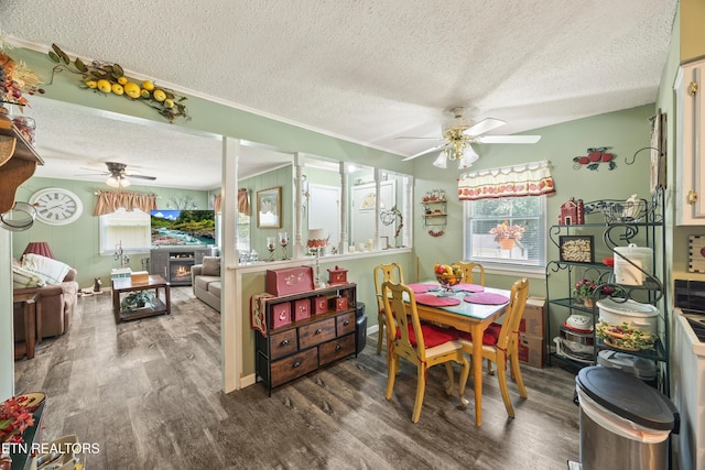 137 Jasper Dr, Crossville, TN 38558 - dining area featuring a ceiling fan, a textured ceiling, wood finished floors, and a glass covered fireplace