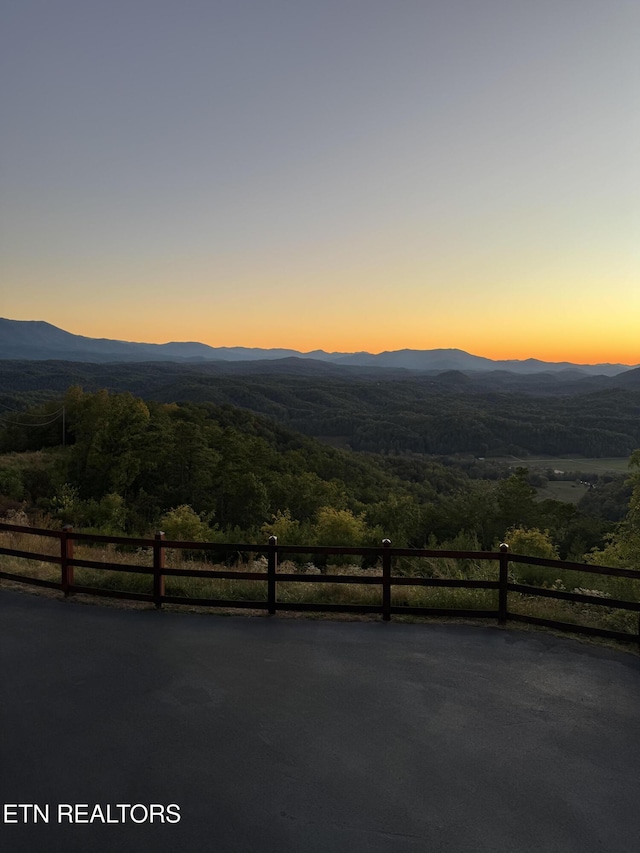 3661 Richardson Cove Rd, Sevierville, TN 37876 - photo 10