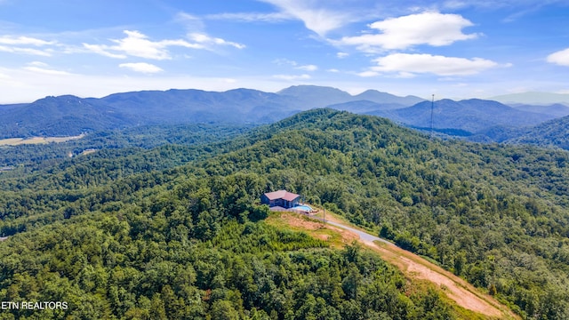 3661 Richardson Cove Rd, Sevierville, TN 37876 - photo 41