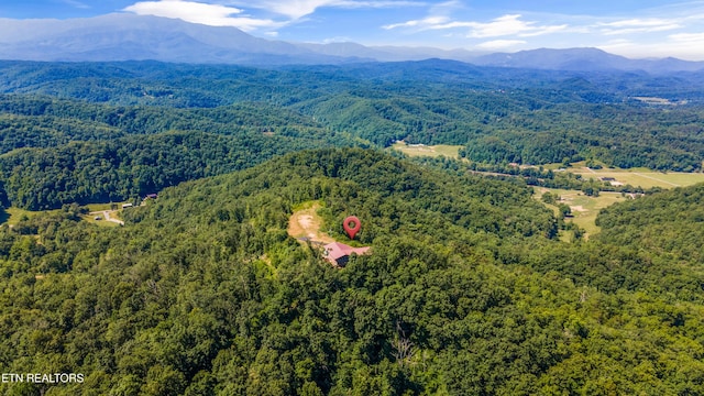 3661 Richardson Cove Rd, Sevierville, TN 37876 - photo 42