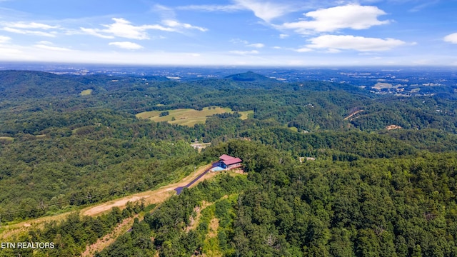 3661 Richardson Cove Rd, Sevierville, TN 37876 - photo 43