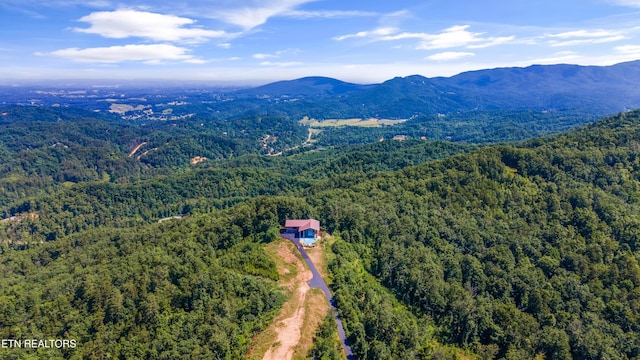 3661 Richardson Cove Rd, Sevierville, TN 37876 - photo 44