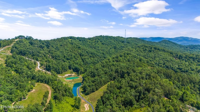 3661 Richardson Cove Rd, Sevierville, TN 37876 - photo 46