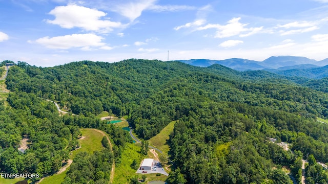 3661 Richardson Cove Rd, Sevierville, TN 37876 - photo 47