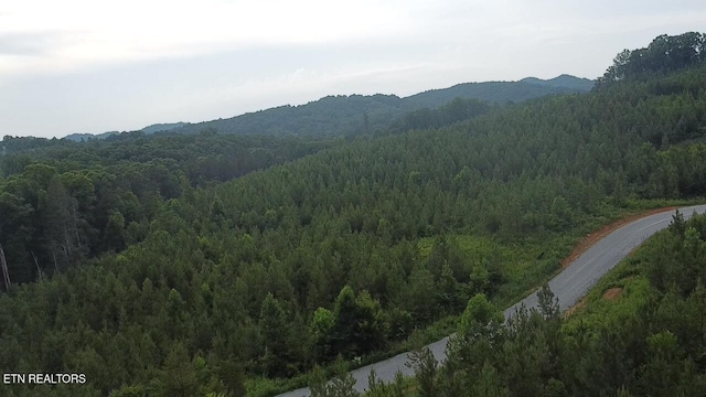 Three Point Rd, Vonore, TN 37885