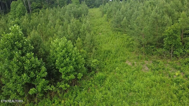 Three Point Rd, Vonore, TN 37885